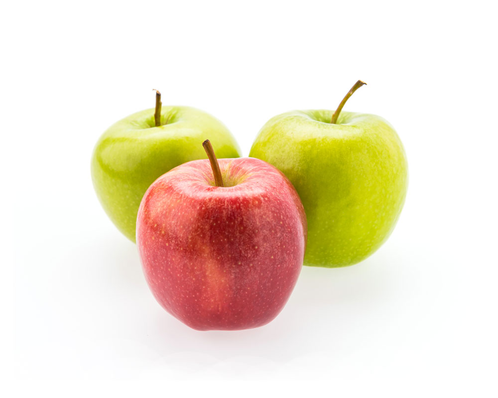 ankittraders Template